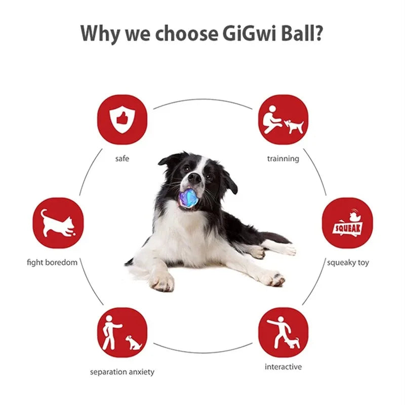 Gigwi Pet Toys Interaktives Hundeball-Set, Größe S/M