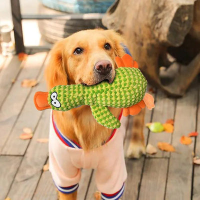 Jouet couineur en peluche en forme de canard pour chien