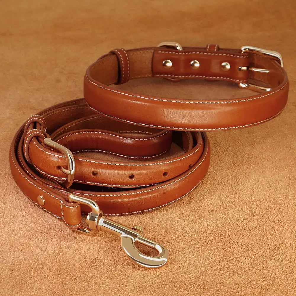 Classic Leather Dog Collar and Leash Set