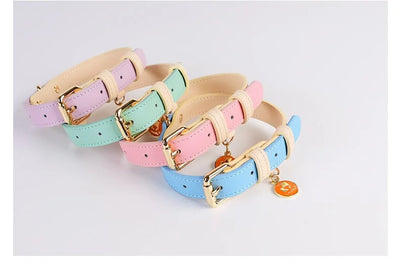 Candy collection Leather Pet Collar & Leash Set