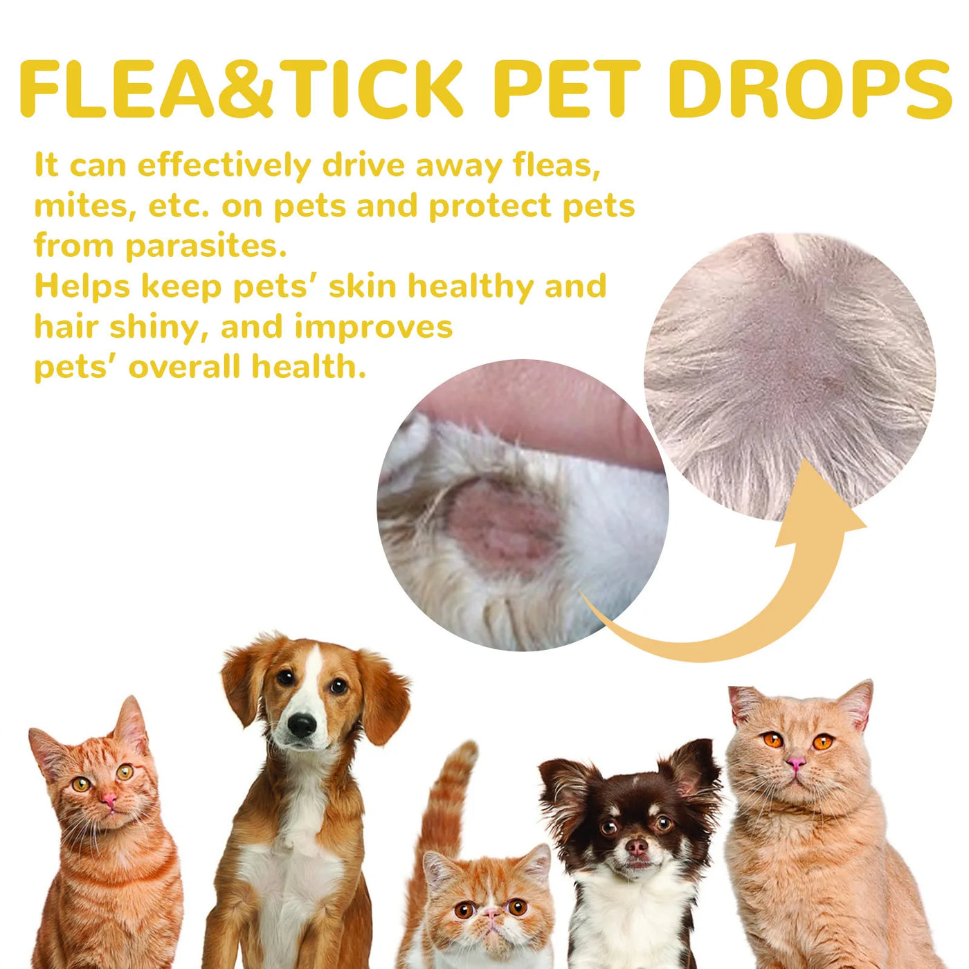 Anti-Flea Spot On Drops