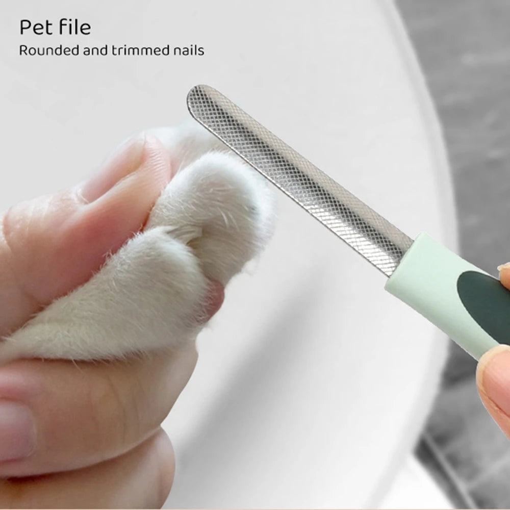 Ensemble de peignes de toilettage pour chien et chat 8 en 1