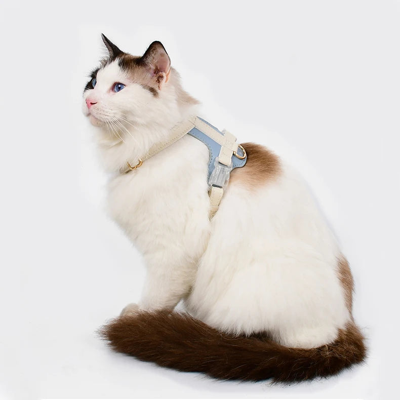 Harnais en cuir souple et laisse imperméable pour chat et chiot