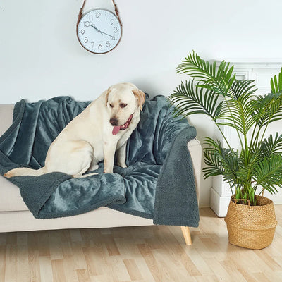 Waterproof Teddy Pet Blanket