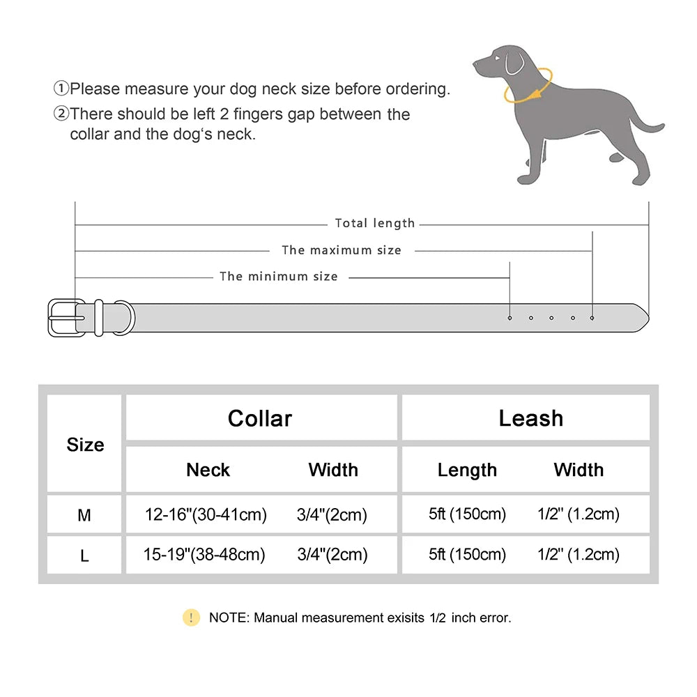 Ensemble collier et laisse pour chien en cuir tressé réglable et souple