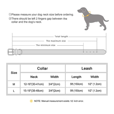 Ensemble collier et laisse pour chien en cuir tressé réglable et souple