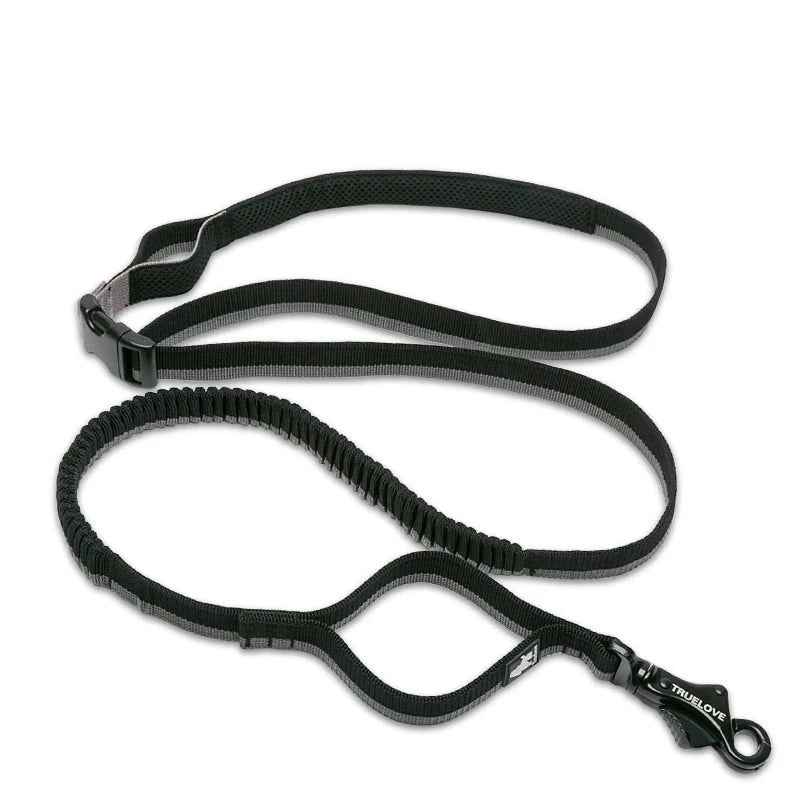 Bungee Adjust Length Elastic Leash