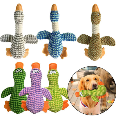 Jouet couineur en peluche en forme de canard pour chien