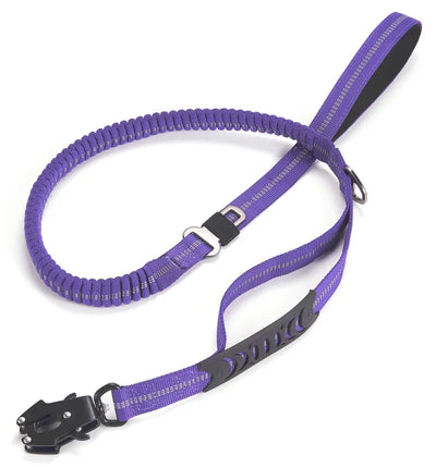 Ultra Resistant 2 In 1 Dog Lash Car Leash