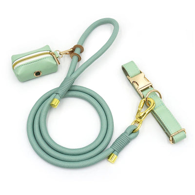 Edles Mintfarbenes Set aus Hundehalsband und Leine aus weichem Leder