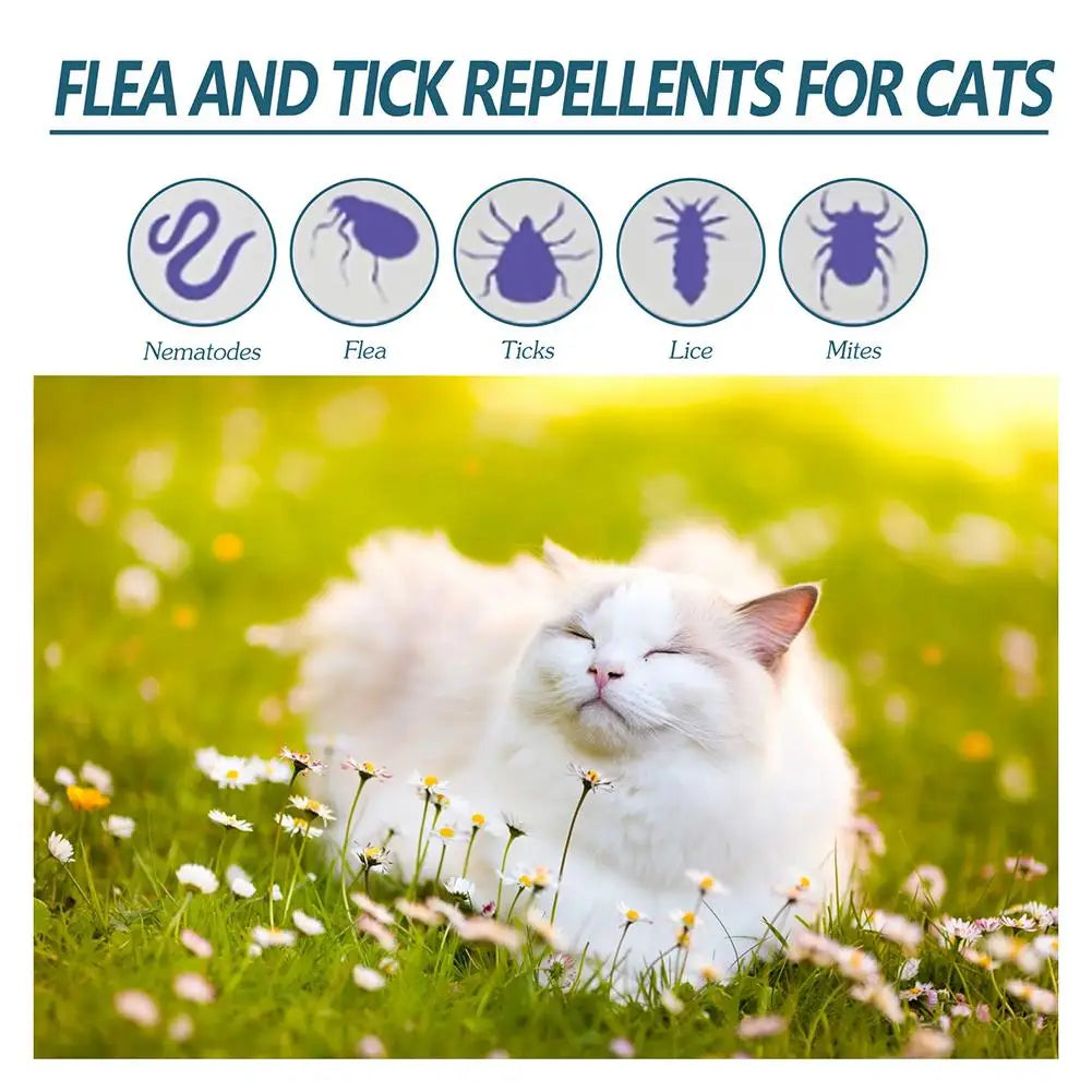 Flea Killer Drops Anti Fleas Pet Treatment