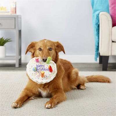 Gâteau d'anniversaire avec jouets couineurs pour animaux de compagnie