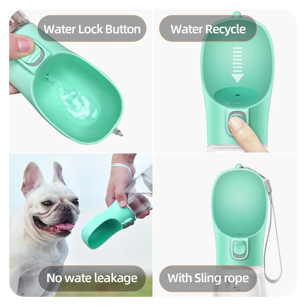 Bouteille d'eau portable pour chien