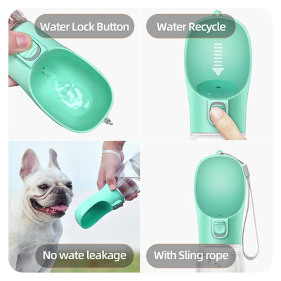 Bouteille d'eau portable pour chien