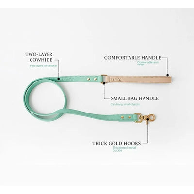 Candy collection Leather Pet Collar & Leash Set