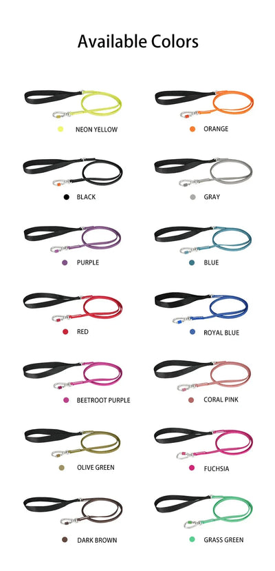 Comfy Shine Collection Lightweight Pet Leash