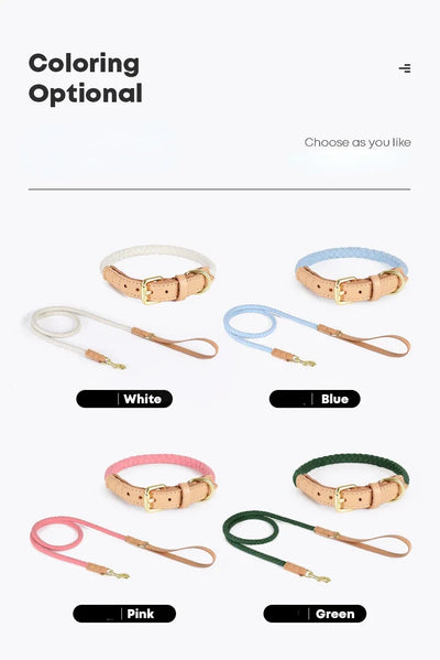 Elegant Braided Leather Dog Collar Leash Set