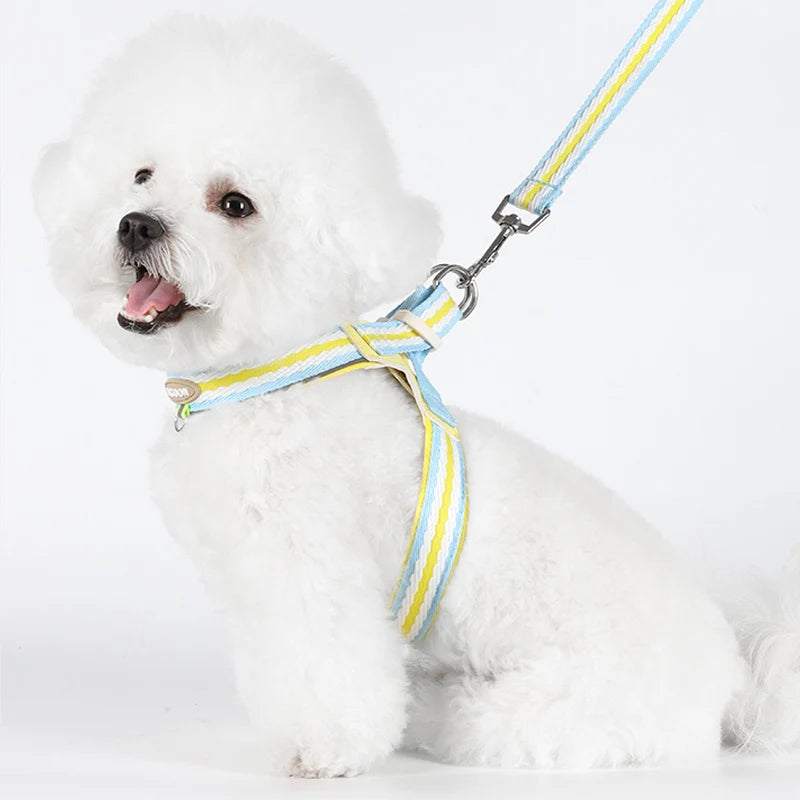 Soft Touch Strong Durable Vest Dog Harness and Leash Set