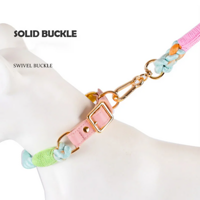 Colorful Macaron Pet Collar & Leash Set