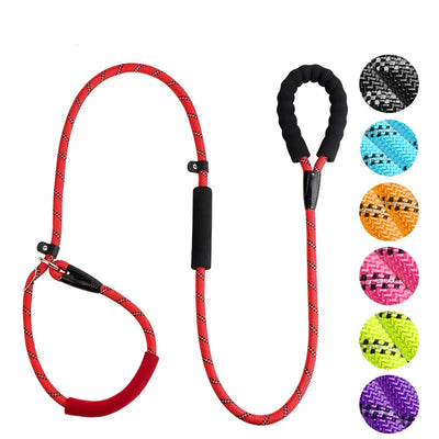 Ultra Soft P Chain Dog Leash & Collar One-Piece