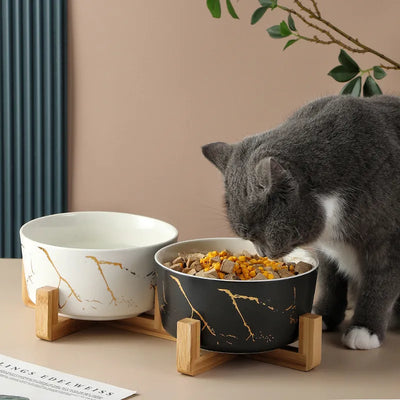 Marble Pet Bowl Bamboo Shelf Ceramic Feeding and Drinking Bowls