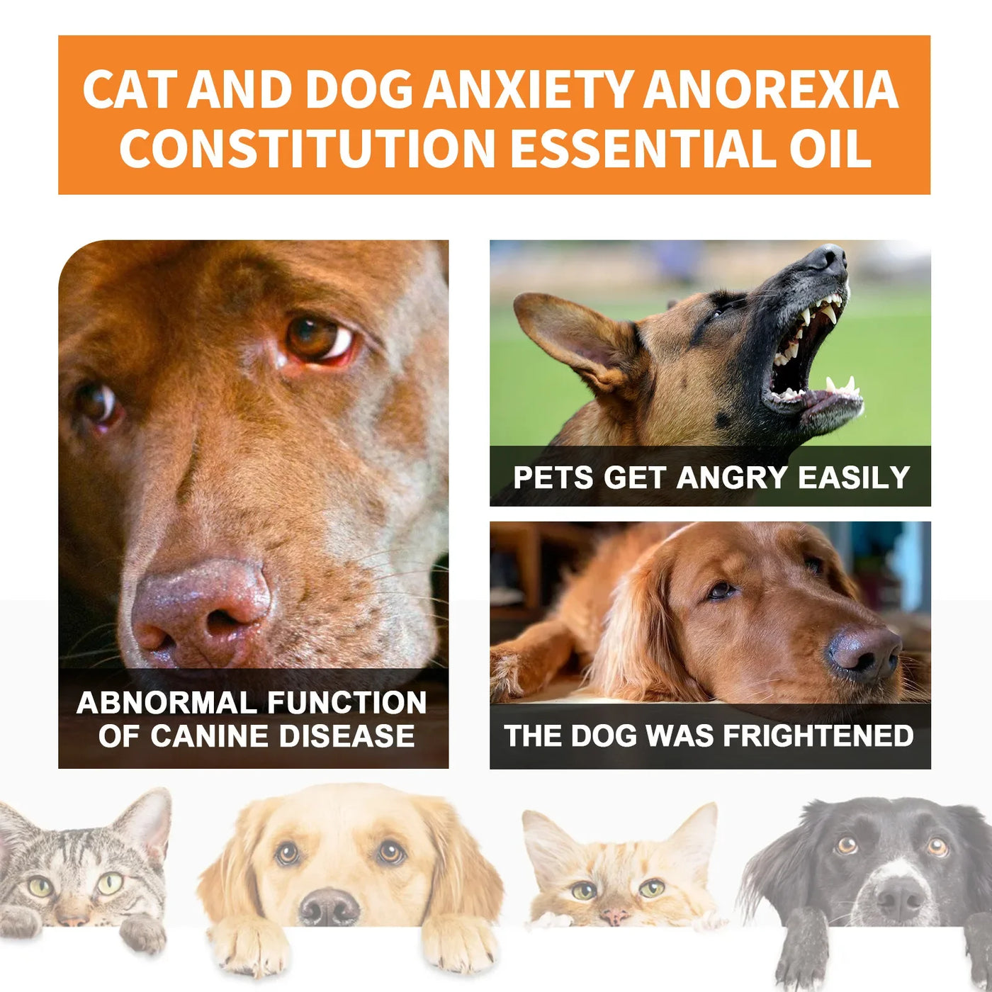 Natural Organic Calming Drops Pet Anxiety Relief Blend Essential Oil