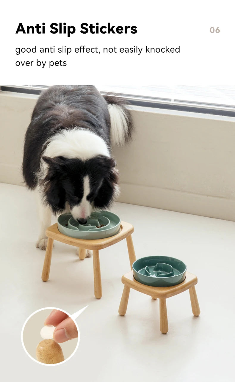 Gamelle en céramique pour chien et eau - Mangeoire lente pour animaux de compagnie