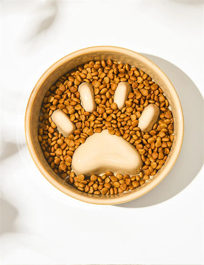 Paw Slow Food Ceramic Food Bowl for Dogs