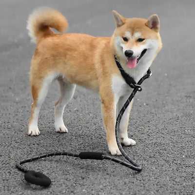 Soft Touch Adjustable Anti-slip No-pull Dog Leash & Collar