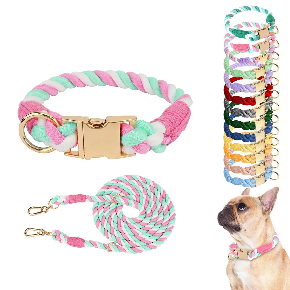 Ensemble collier et laisse pour chien Macaron