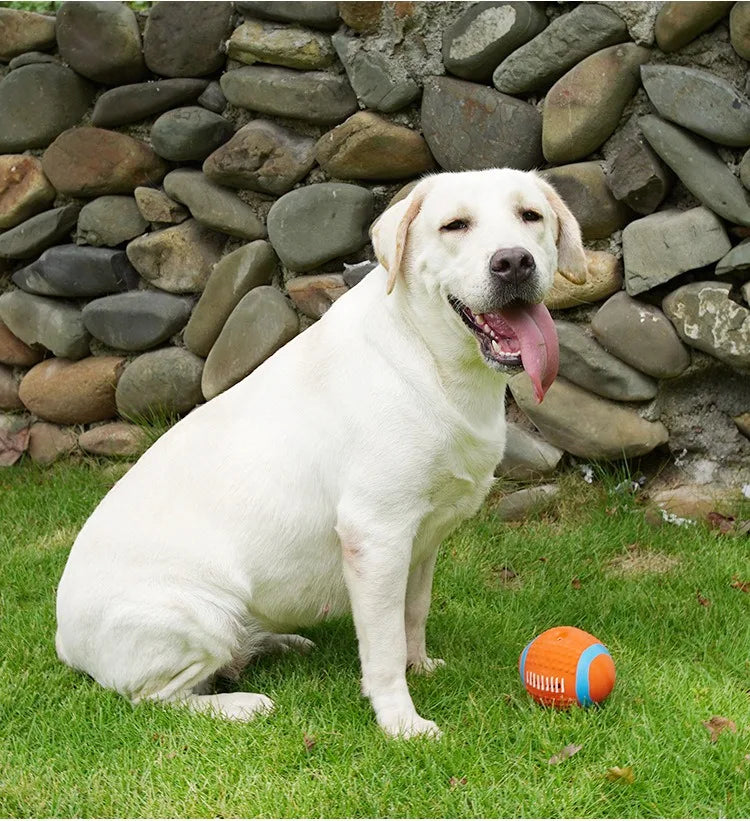 Latex Ball Toy Bite Resistant