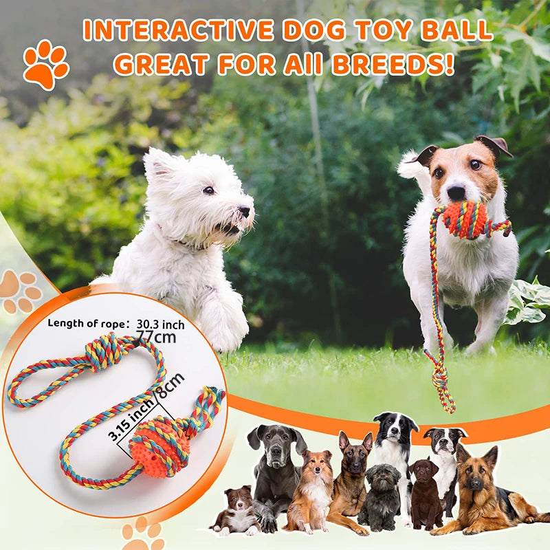 XXL Tough Dog Toys Interactive