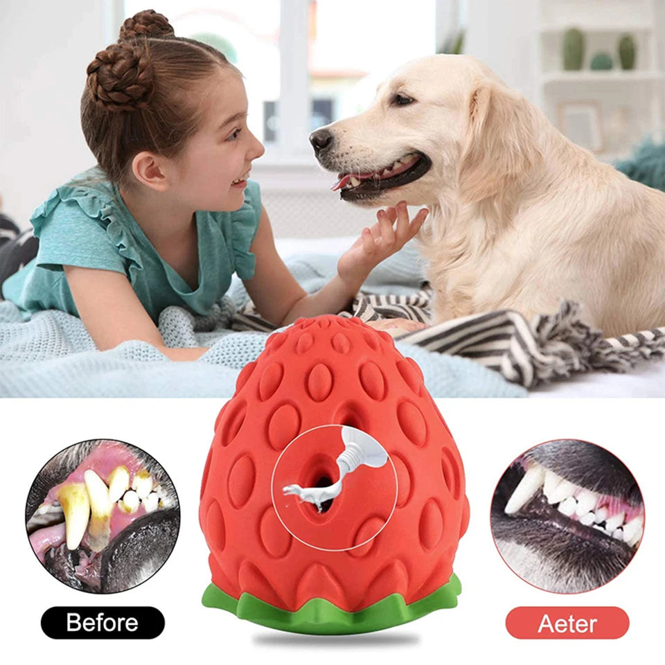 Strawberry Rubber Food Leaking Chew Toy