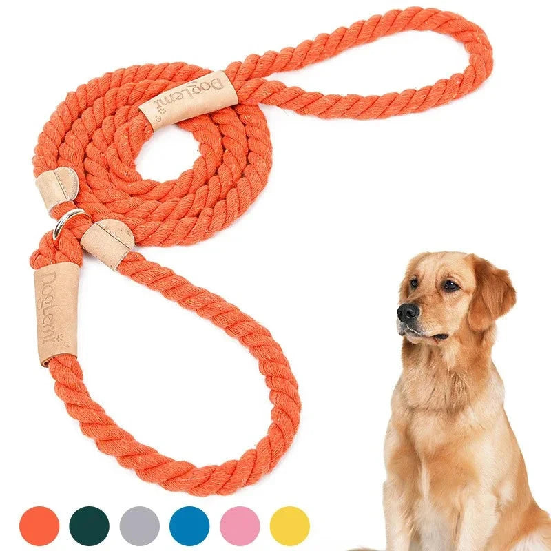 Laisse et collier pour chien de la collection Braid, une pièce