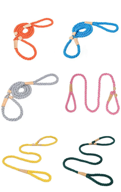 Laisse et collier pour chien de la collection Braid, une pièce