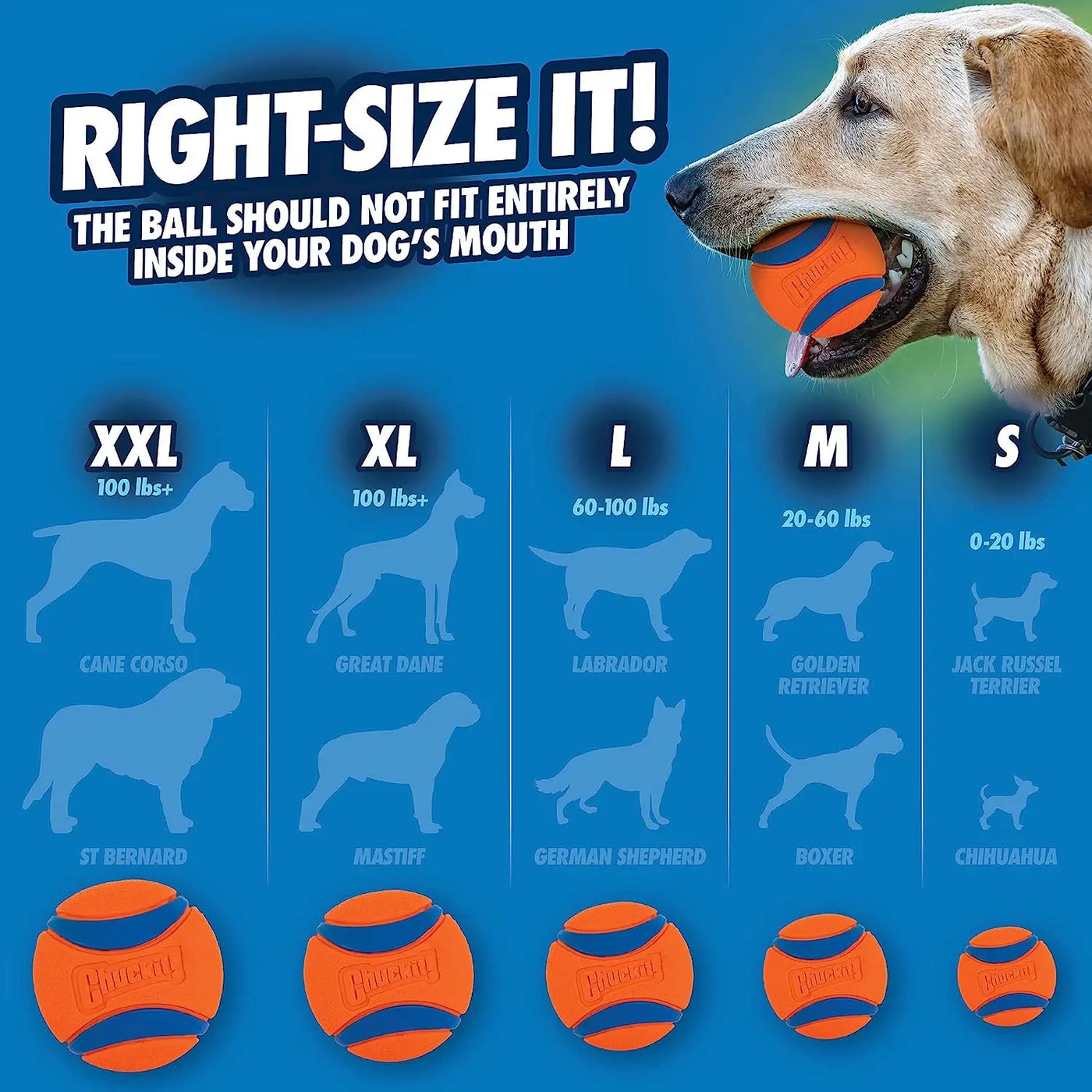 Chuckit Ultra Ball Dog Toy