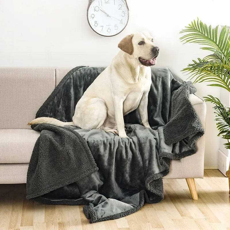 Couverture imperméable pour animaux de compagnie