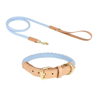 Elegant Braided Leather Dog Collar Leash Set