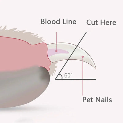 Professioneller Nagelknipser für Haustiere mit LED-Licht