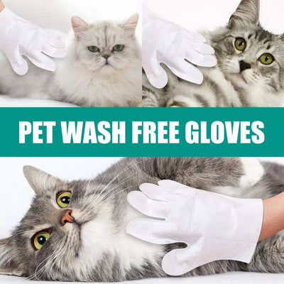 Gants de nettoyage jetables pour animaux de compagnie, sans lavage ni rinçage