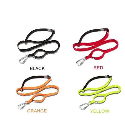 Running Bungee Leash Hands Free Dog Leash