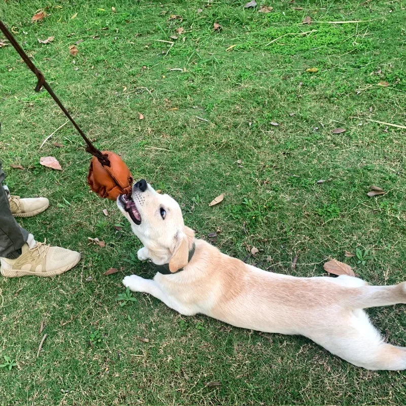 Balle d'entraînement en cuir pour chien