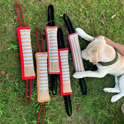 Pick Up Dog Chew Training Toys