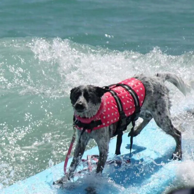 Summer Dog Life Vest