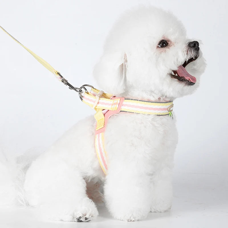 Ensemble harnais et laisse pour chien doux au toucher, solide et durable