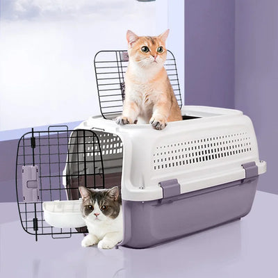 Pet Transport Box