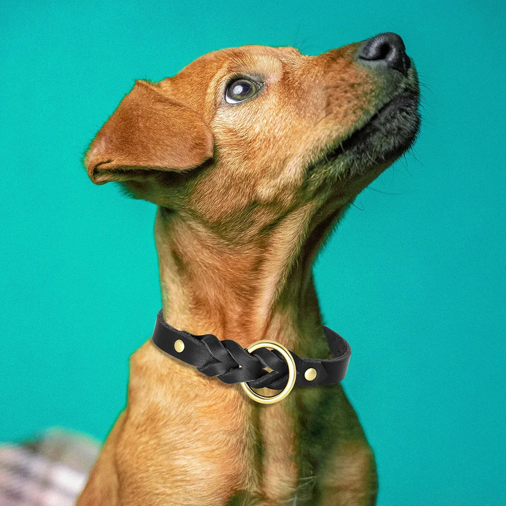 Ensemble collier et laisse pour chien en cuir tressé réglable et souple