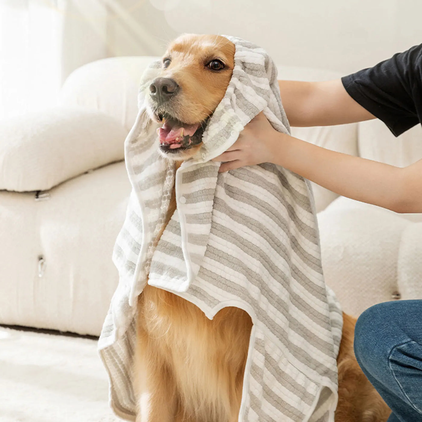 Serviette de bain ultra-absorbante à rayures pour chien à séchage rapide