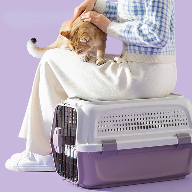 Pet Transport Box