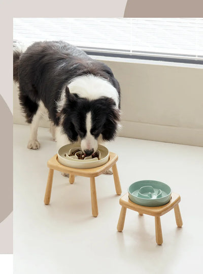 Gamelle en céramique pour chien et eau - Mangeoire lente pour animaux de compagnie